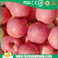 Fuji Apples meilleur prix du fournisseur en Chine